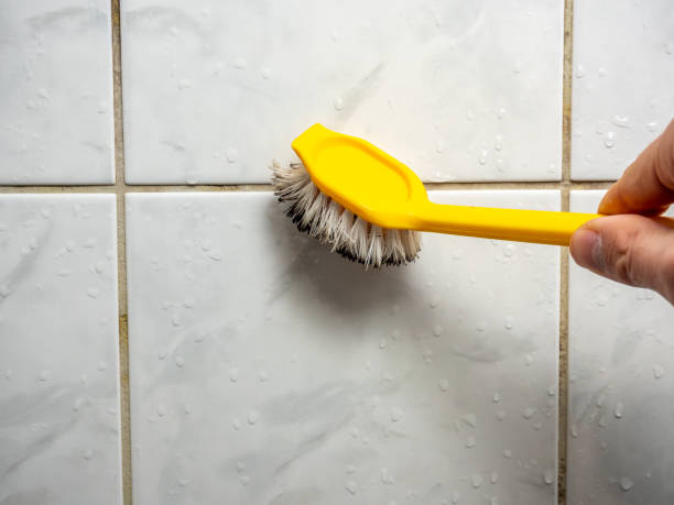 Best Home Mold Removal  in Santa Ana, CA