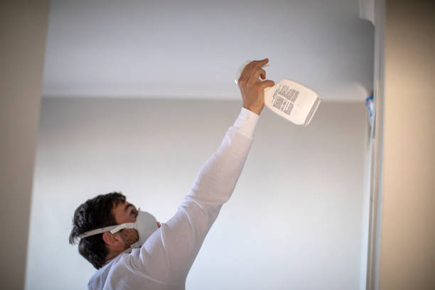 Best Affordable Mold Removal  in Santa Ana, CA