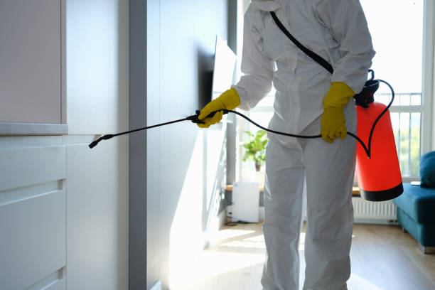 Certified Mold Removal in Santa Ana, CA