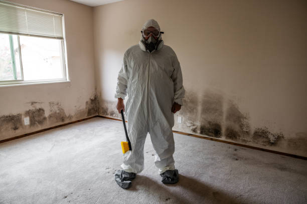 Best Emergency Mold Removal  in Santa Ana, CA